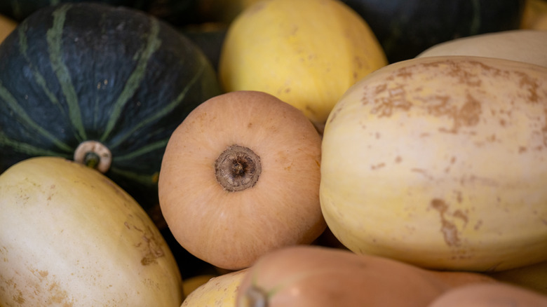 Pile of various winter squash