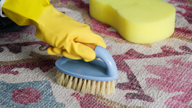 Person scrubbing a carpet