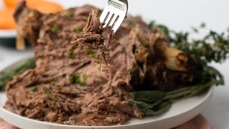 Shredded lamb on fork