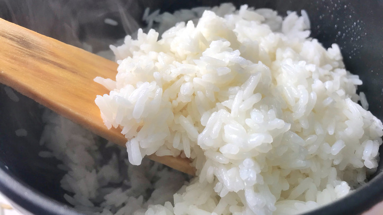 freshly cooked rice