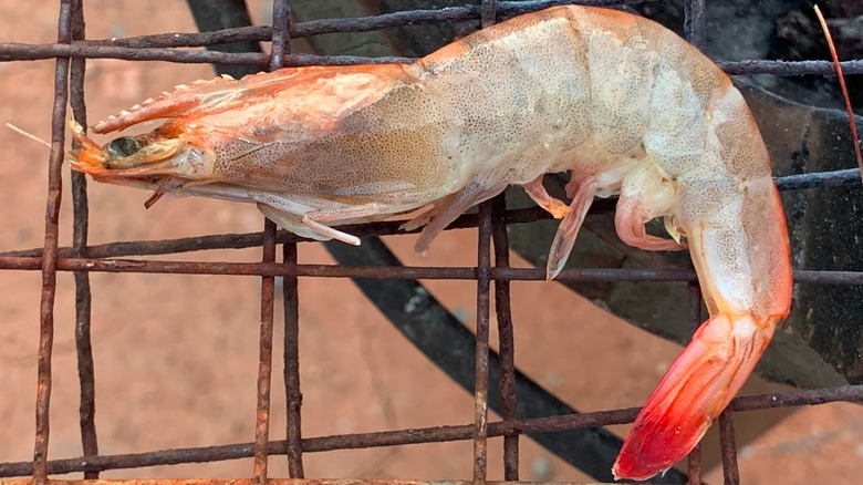 shrimp on grill rack