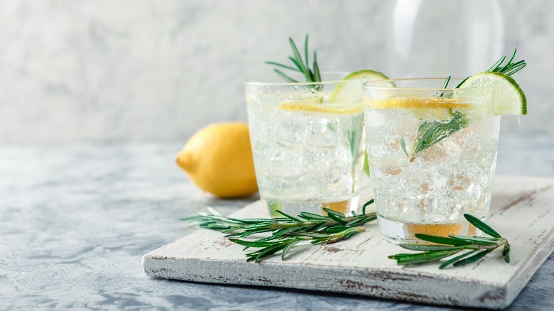 Carbonated cocktails with garnishes