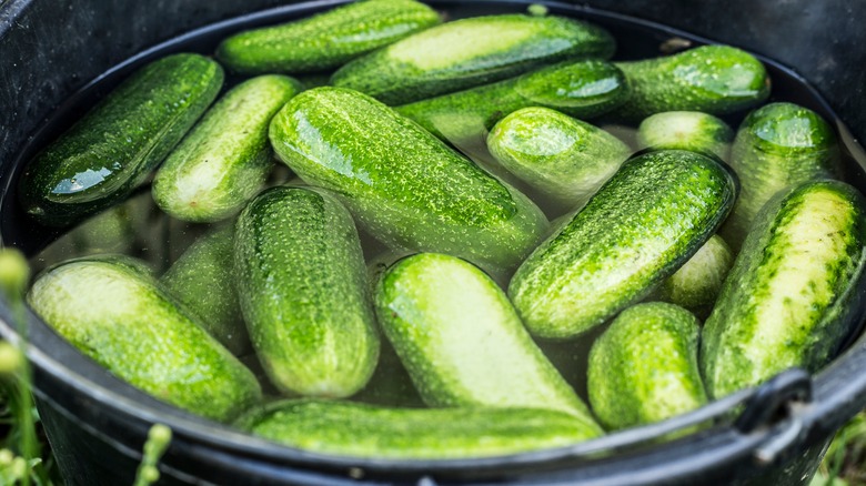 cucumbers in ice water