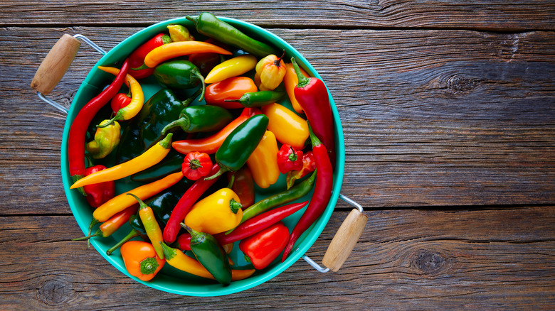 Variety of chilis