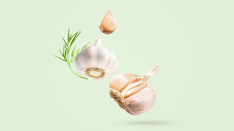 Garlic cloves on plain background 