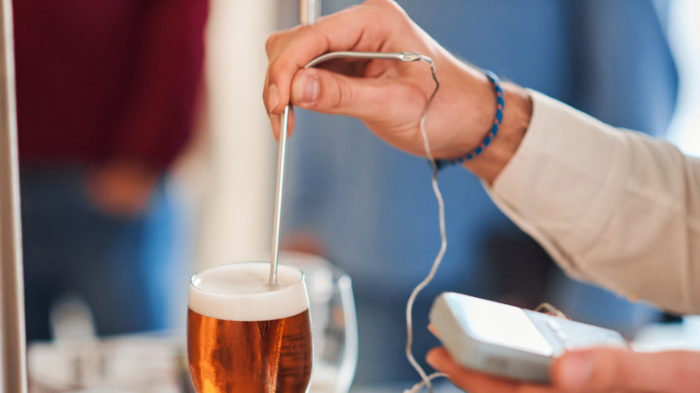 person holding thermometer in beer