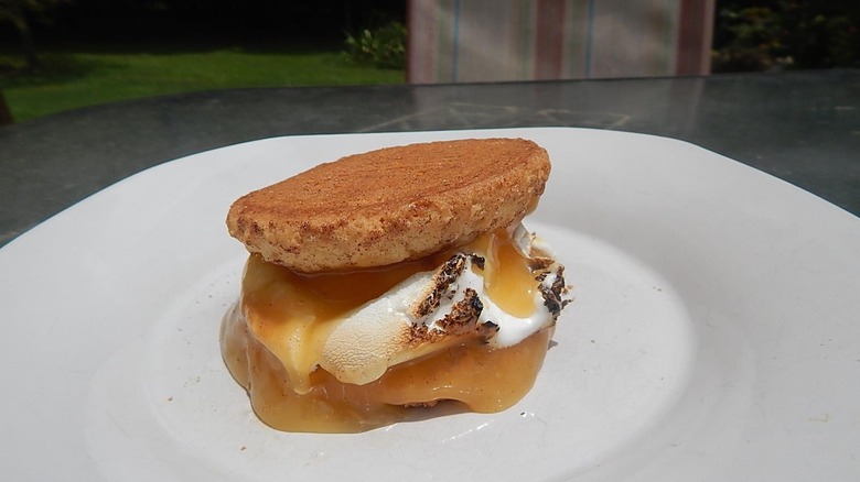 s'mores with a fruit curd