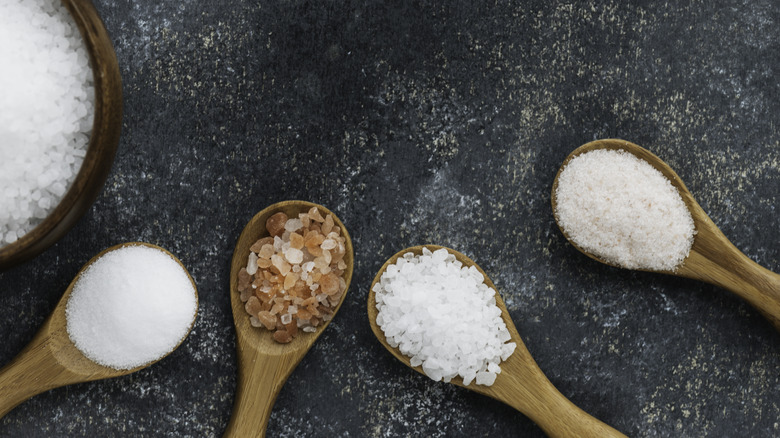 different salt varieties in spoons