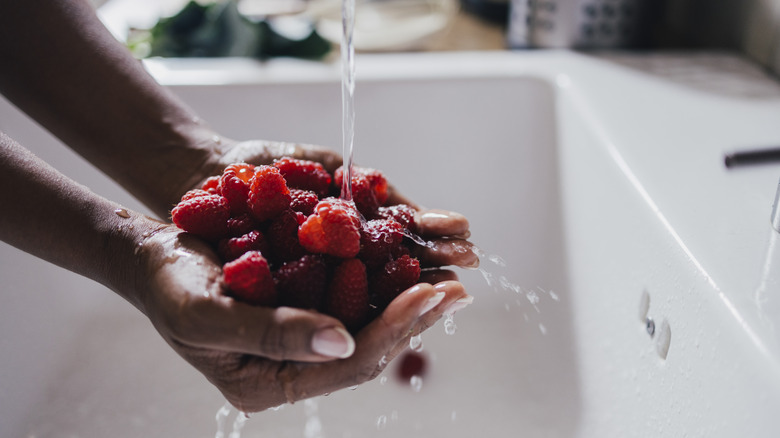 hand-washing raspberries