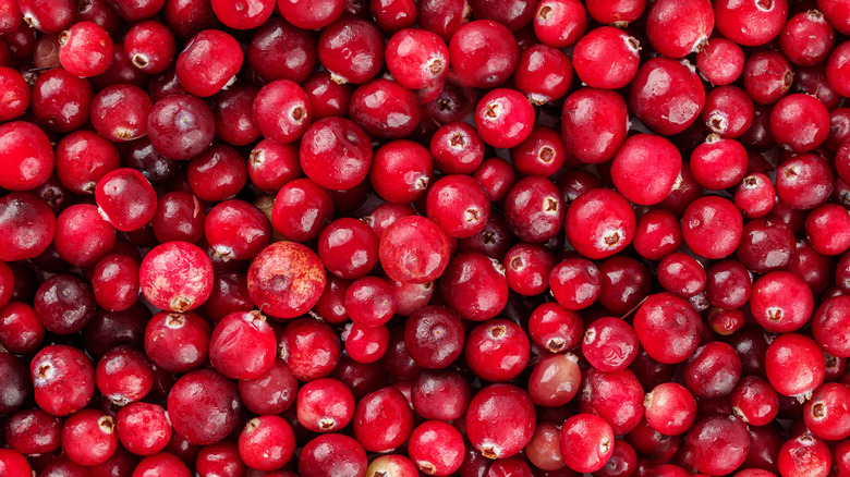 Group of raw fresh cranberries