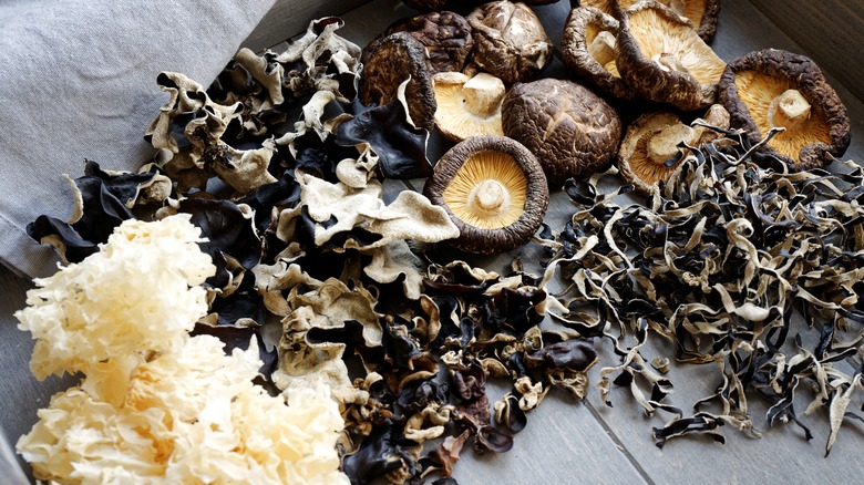 Selection of dried mushrooms