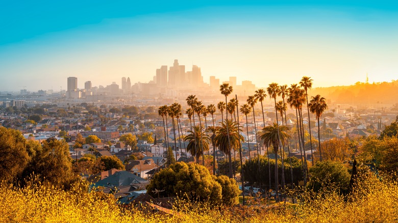 Los Angeles at sunset