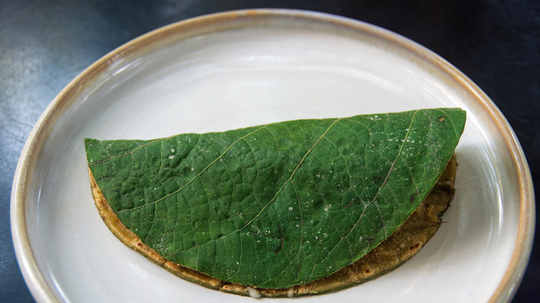 Hoja santa tortilla