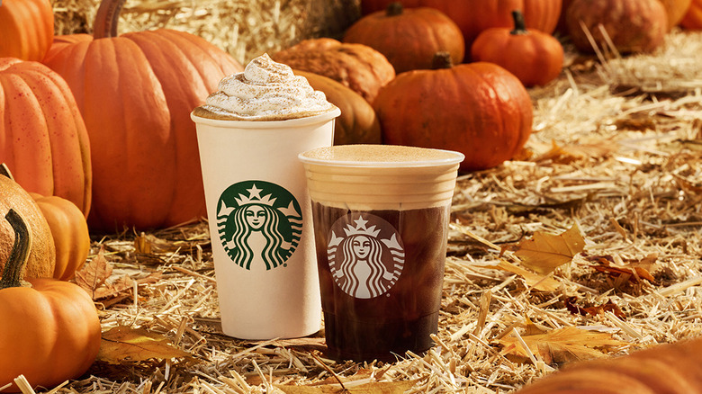 Starbucks pumpkin drinks