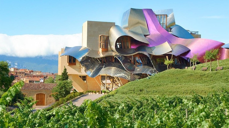 Hotel Marqués de Riscal  and vineyard