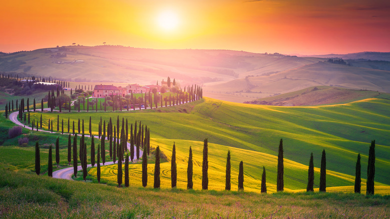 Tuscan landscape 