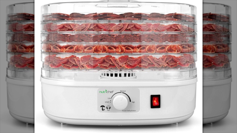 Nutrichef PKFD06 Food Dehydrator Machine with jerky