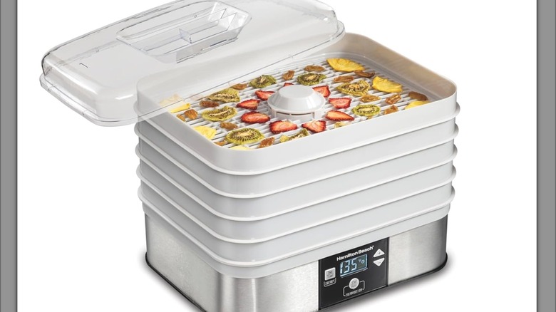 Hamilton Beach Digital Food Dehydrator 32100A with dried fruit