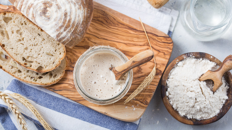 sourdough loaf starter