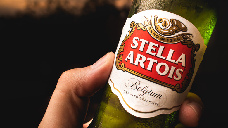 Hand holding bottle Stella Artois