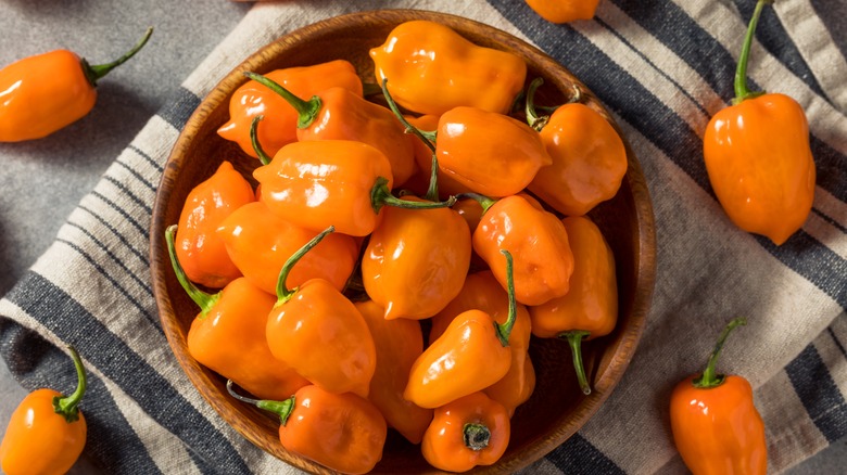 Habanero peppers in a wooden bowl