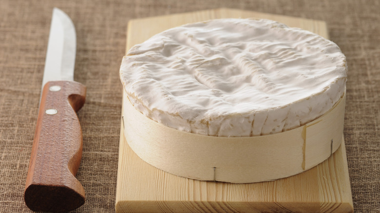 Wheel of cheese next to knife 