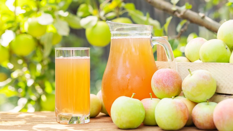 A pitcher of apple cider in an orchard