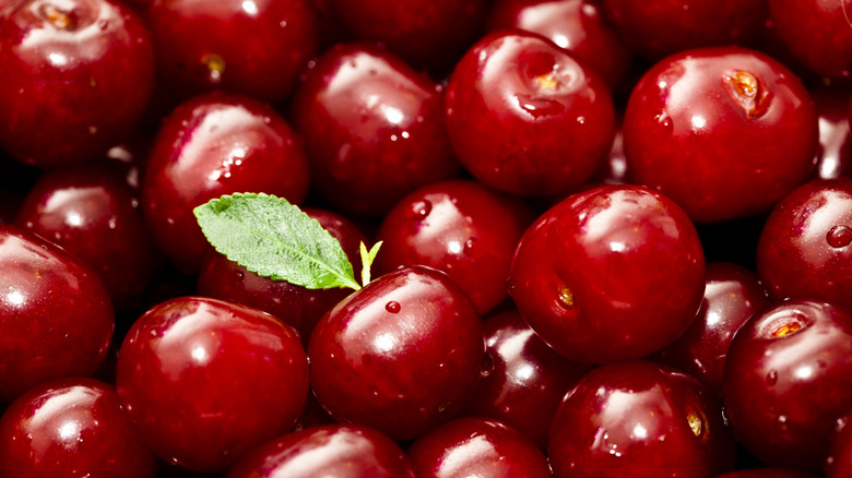 closeup of sour cherries