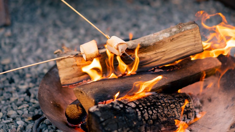 toasted marshmallows on skewers