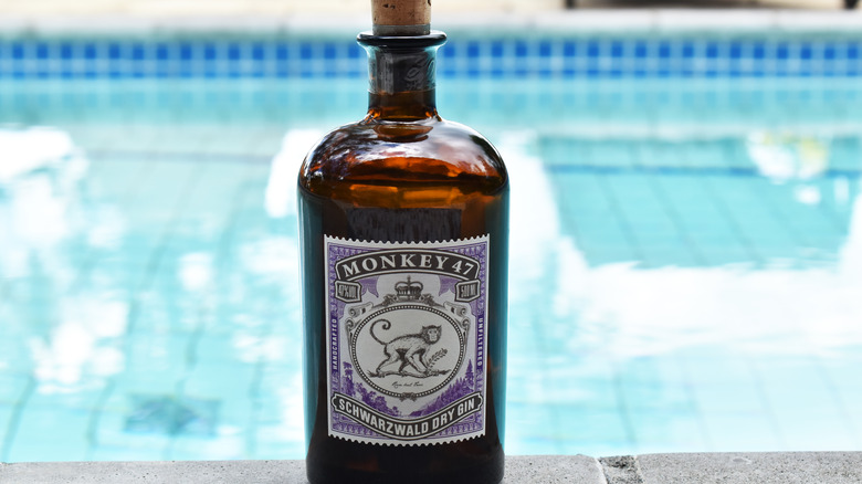 Monkey 47 by the pool