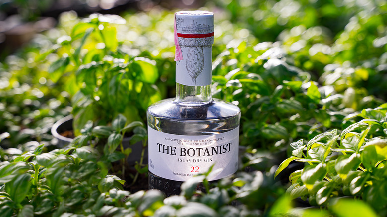 The Botanist, a Scottish gem