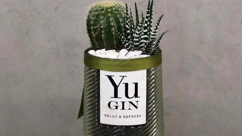 Repurposed bottle of Yu