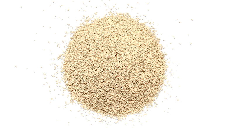 pile of dry yeast powder