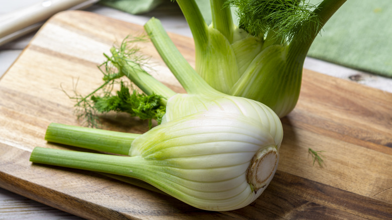 Fennel bulbs on cutting board