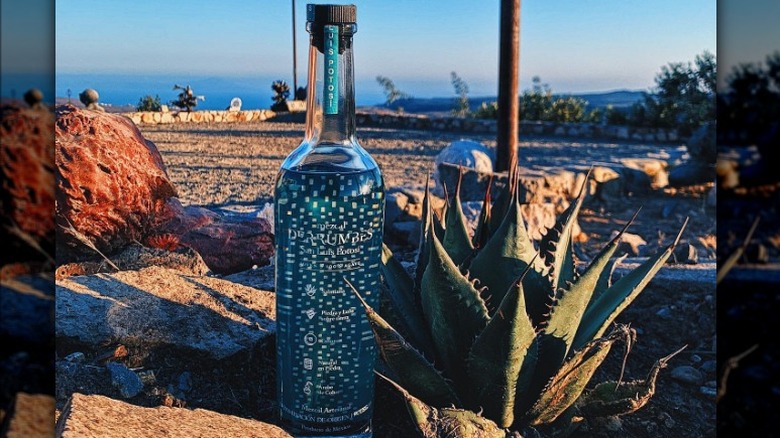 Bottle of Derrumbes Mezcal