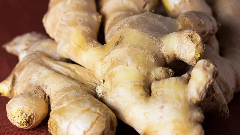 Fresh ginger root