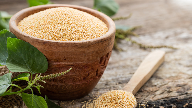 Amaranth in a bowl