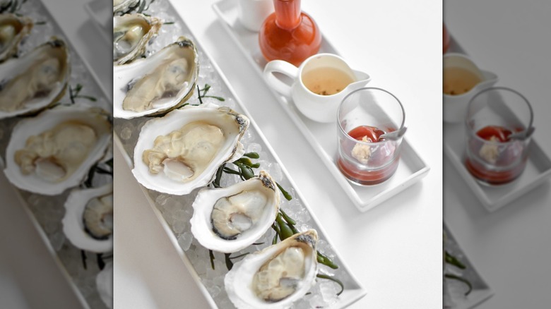 Row of oysters on ice