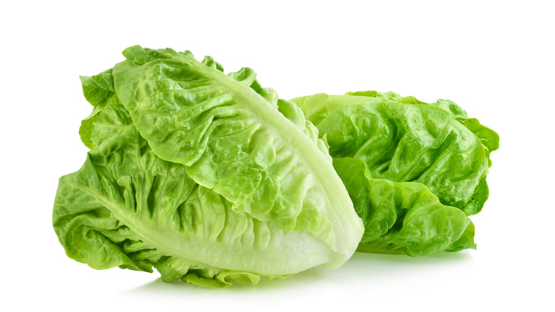 Romaine lettuce heads