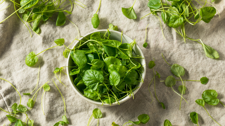 Watercress in bowl