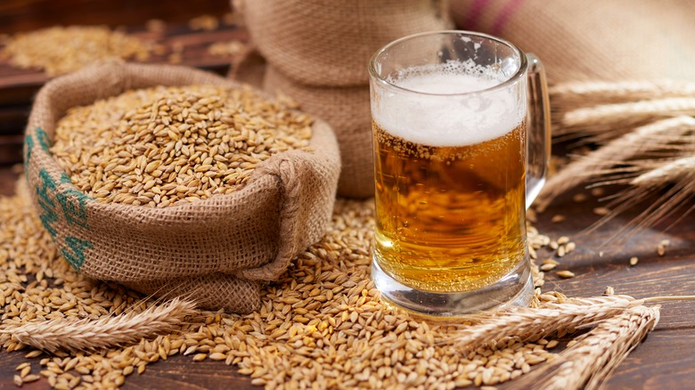 Beer and barley on table