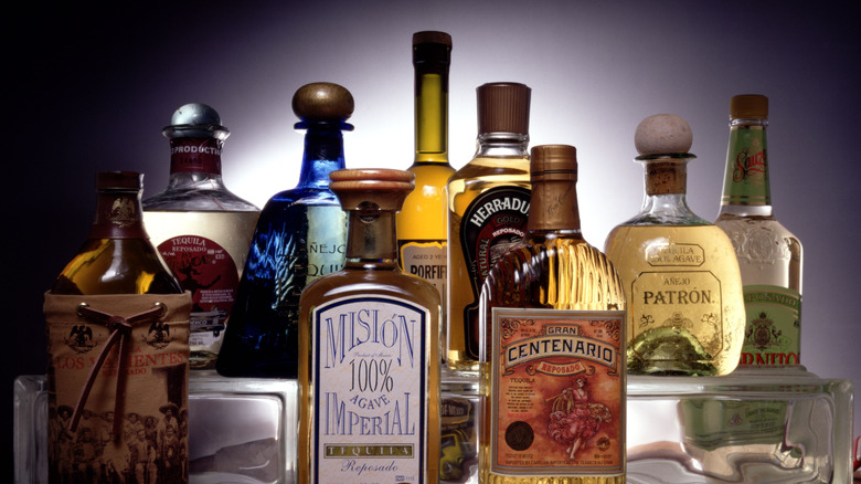 Selection of tequilas