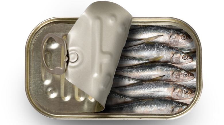 Tin of sardines