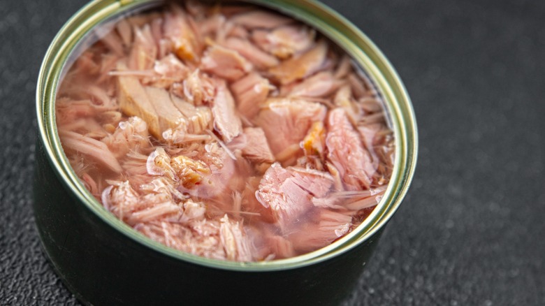 Tin of canned tuna fish