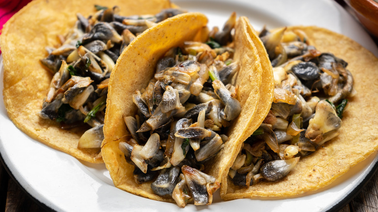 Huitlacoche in tacos