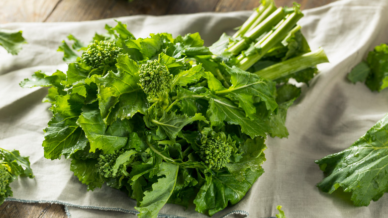 Bunch of broccoli rabe