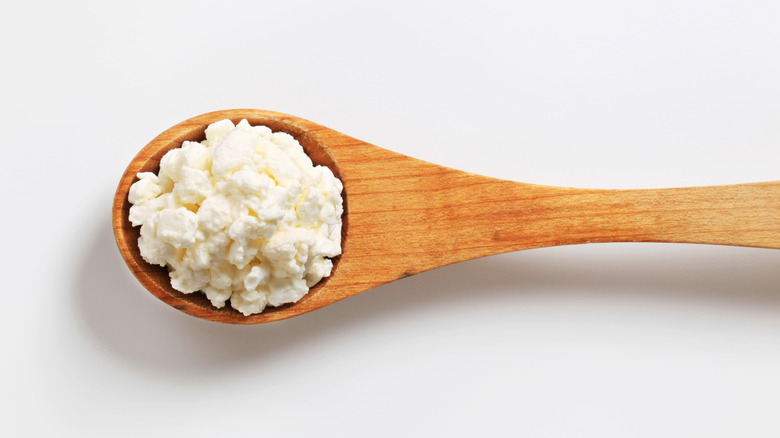 Spoonful of cottage cheese