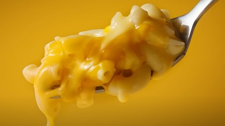 forkful of mac and cheese