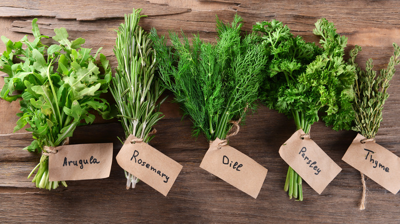 Bunches of fresh herbs