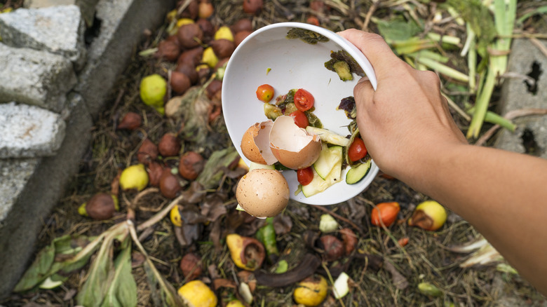 Throwing food scraps onto compost pile
